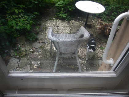 Котег